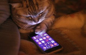 По всій країні близько 2 тисяч фейкових замінувань