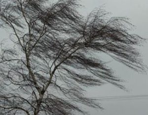 На Тернопільщині очікують погіршення погоди