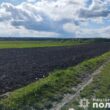 Крафтовий бізнес на Тернопільщині: як занедбаний фруктовий сад перетворили на прибуткову ягодову ферму