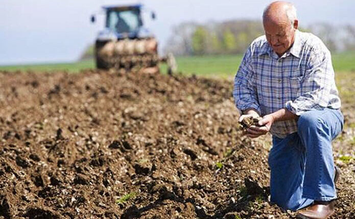 Аграрії та підприємці забезпечили понад 60% доходів громад