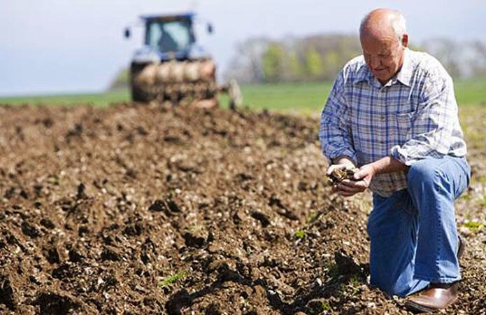 Аграрії та підприємці забезпечили понад 60% доходів громад