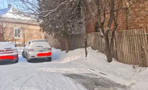 Тернополяни скаржаться на ігнорування аварійних дерев