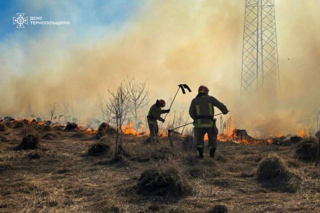 На Тернопільщині за добу вигоріли гектари сухої трави