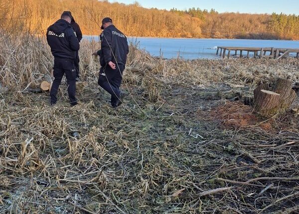 На Тернопільщині зафіксували масове нищення дерев