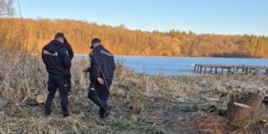 На Тернопільщині зафіксували масове нищення дерев