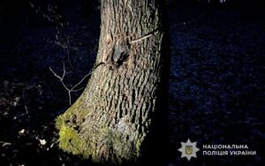 Фатальна помилка під час пошуку металу