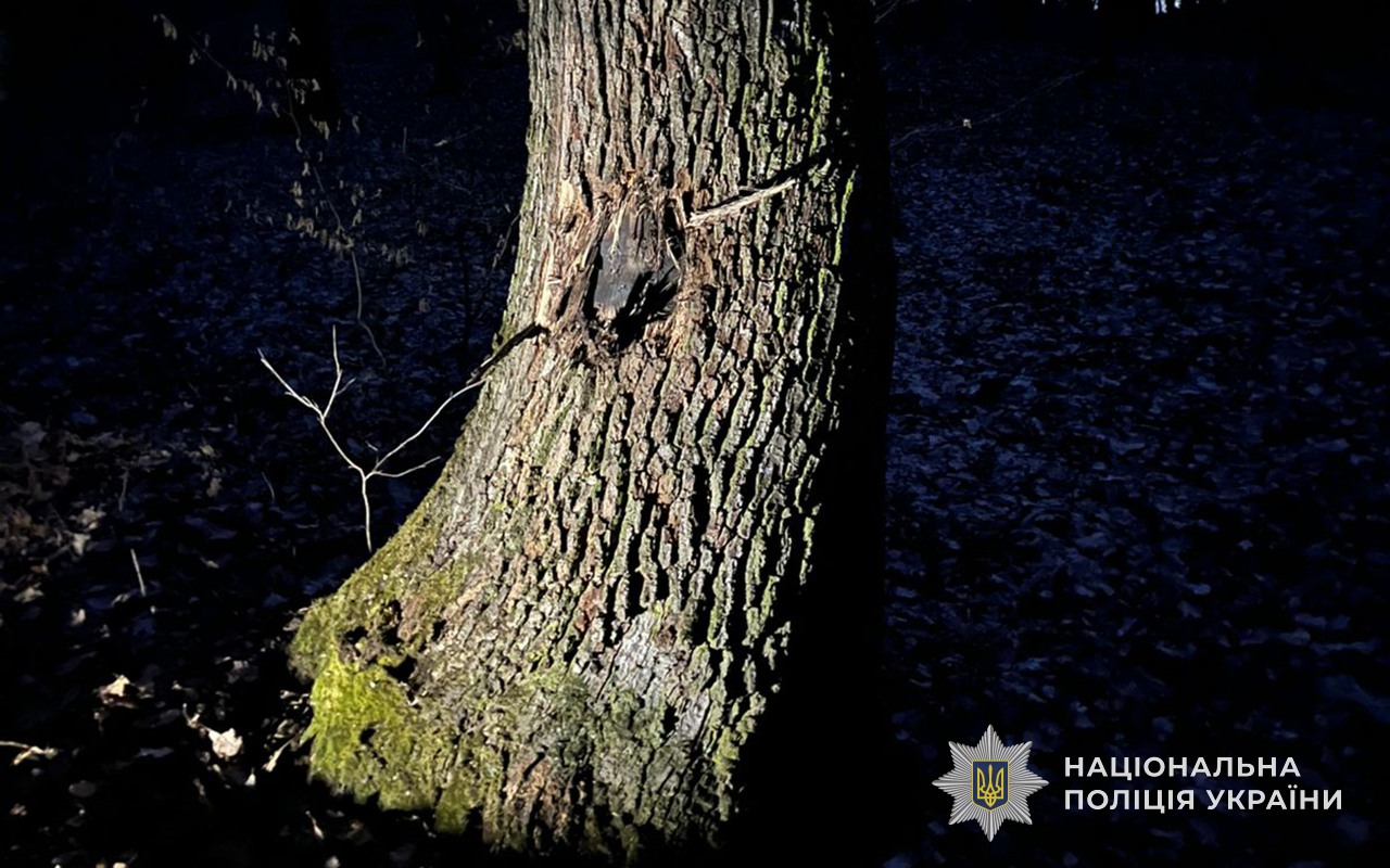 Фатальна помилка під час пошуку металу