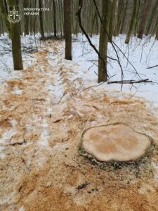 Мільйонні збитки у «Медоборах»