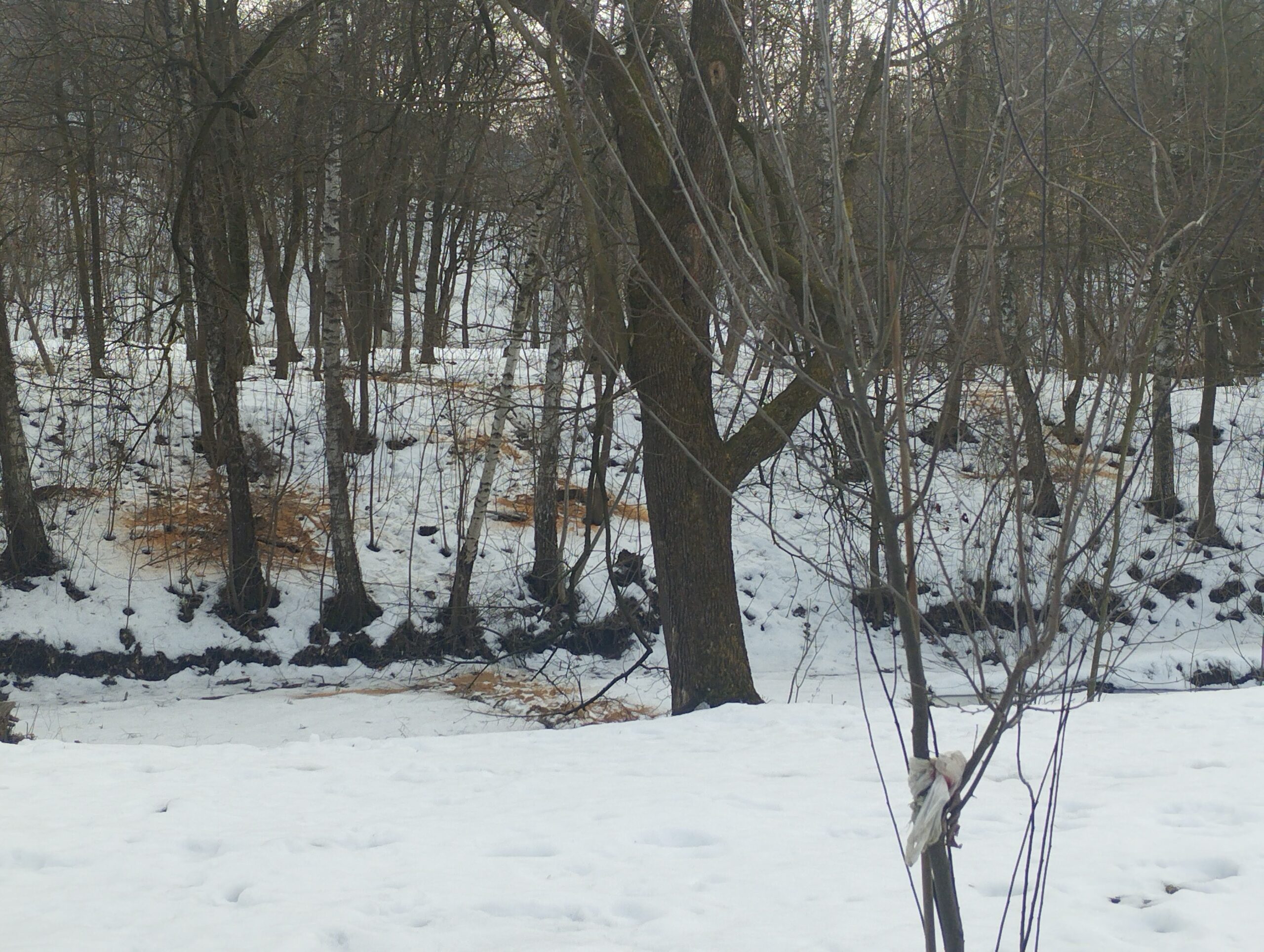 Фото Тернопільська газета