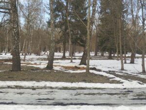 Фото Тернопільська газета