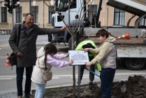 висадили катальпи бігнонієвидні та клени