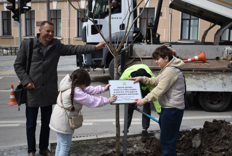 висадили катальпи бігнонієвидні та клени
