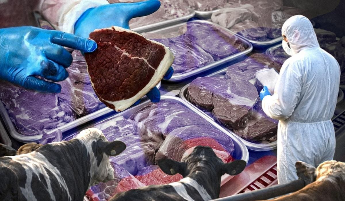 епідемія росія