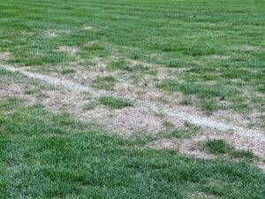 стадіон нива