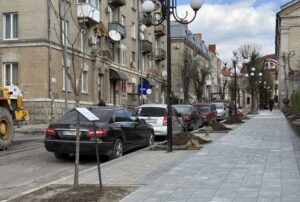 висадили катальпи бігнонієвидні та клени