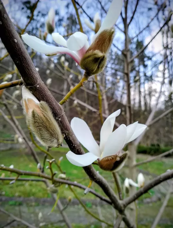 Весняне пробудження на Тернопільщині