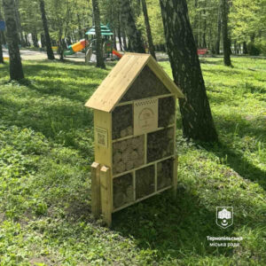 Екоініціатива у Тернополі: у парках міста встановили спеціальні «Комашині домівки»