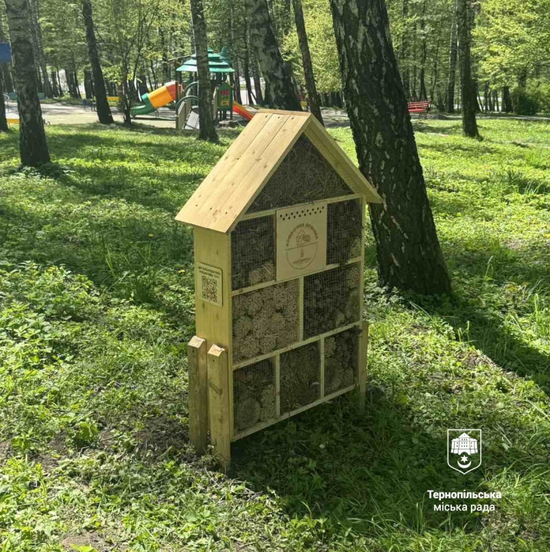 Екоініціатива у Тернополі: у парках міста встановили спеціальні «Комашині домівки»