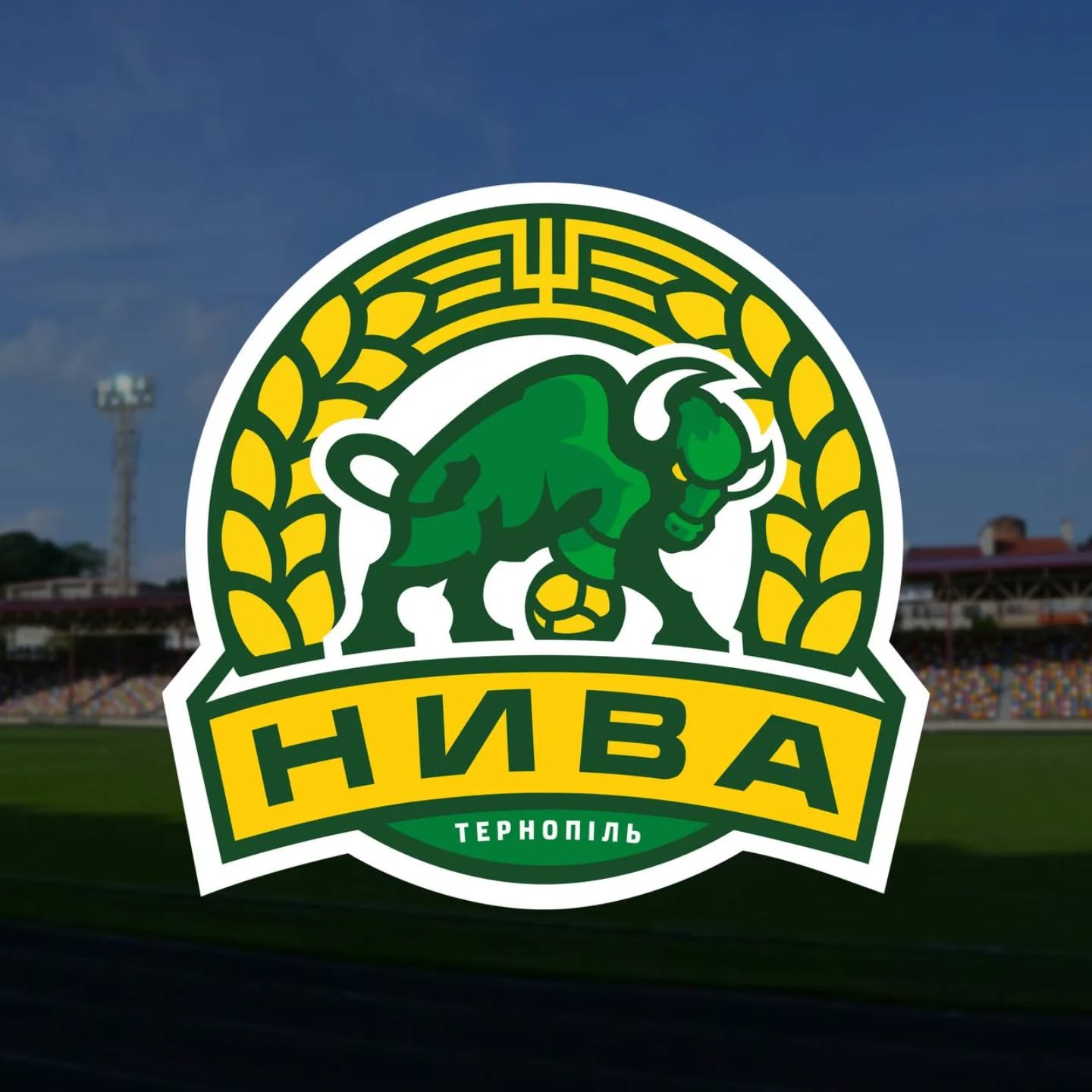 Тернопільська «Нива» зробила гучну заяву після розгрому від «Фенікса»