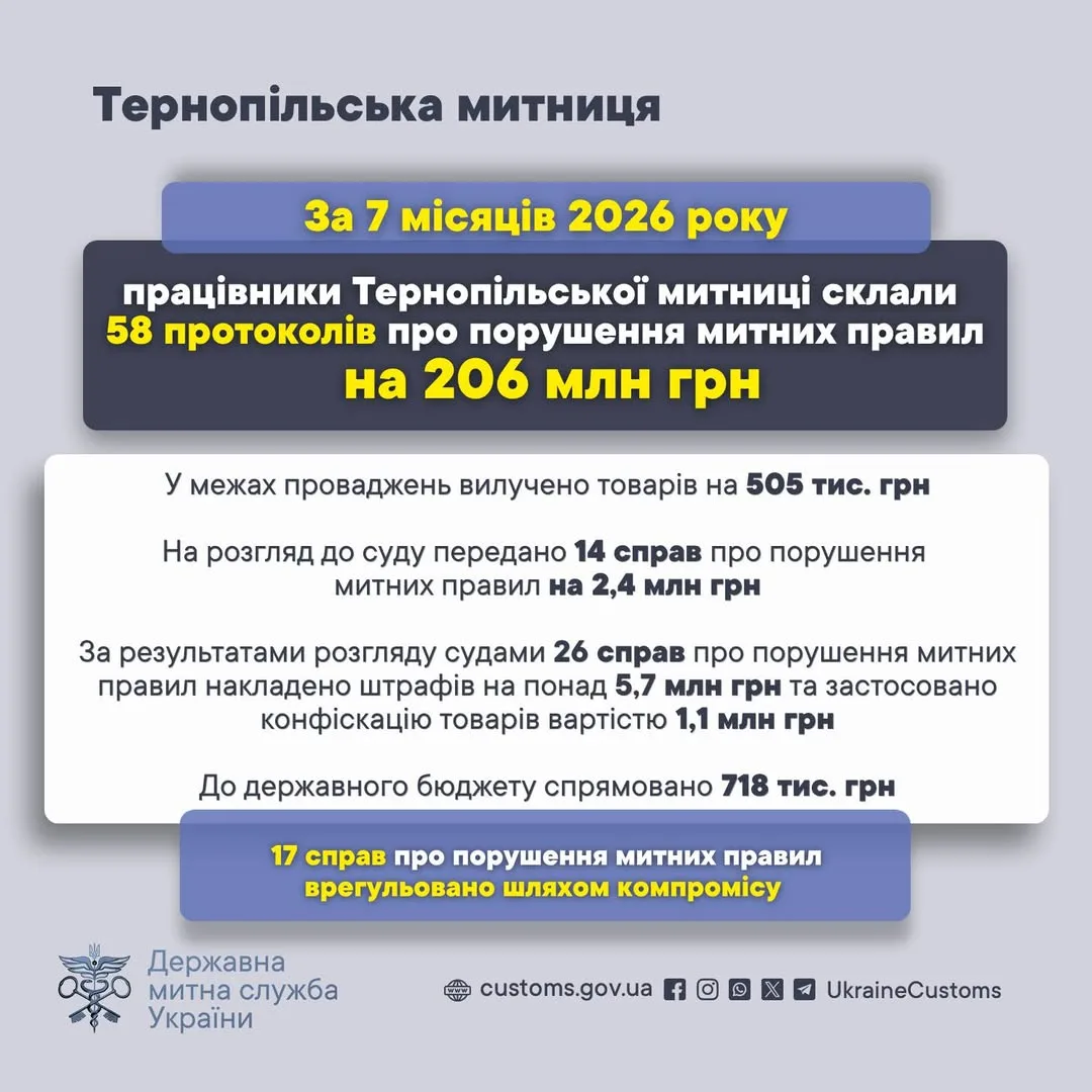 Тернопільська митниця. Інфографіка