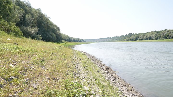Критичне маловоддя на Дністрі: рівень водосховища впав до історичного мінімуму