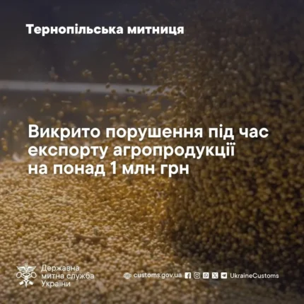 Тернопільська митниця викрила незаконний експорт сої на мільйон: суд покарав керівника підприємства