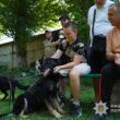 Каністерапія у Тернополі: собаки допомагають реабілітації