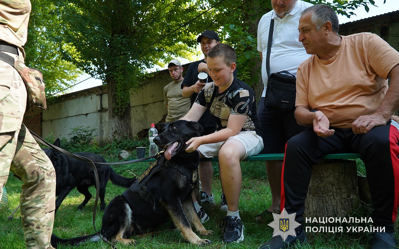 Каністерапія у Тернополі: собаки допомагають реабілітації