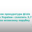 Ліси України заплатять 3,7 млн грн за незаконну порубку