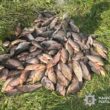 На Тернопільщині браконьєр завдав збитків на 220 тисяч