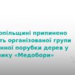 На Тернопільщині викрили банду, що нищила заповідник Медобори