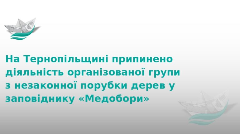 На Тернопільщині викрили банду, що нищила заповідник Медобори