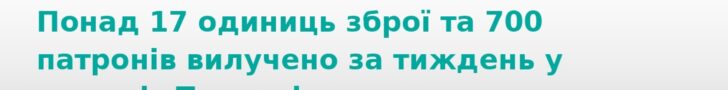 На Тернопільщині вилучили арсенал зброї та боєприпасів