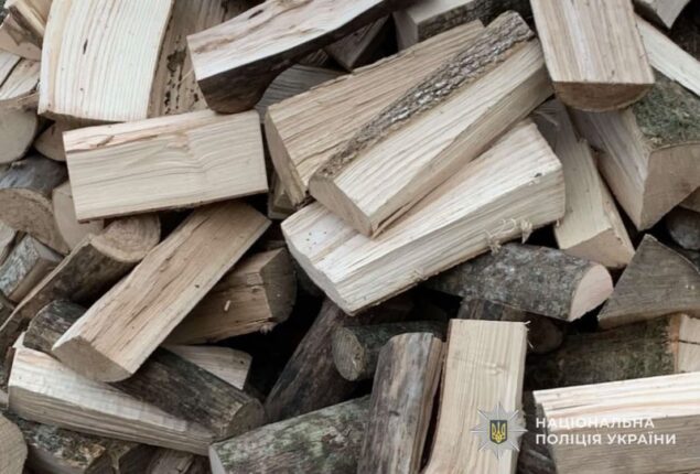 Шахрайство з дровами: як житель Тернопільщини втратив гроші