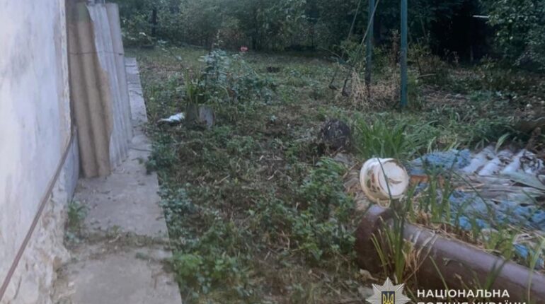 На Тернопільщині чоловік застрелив сусідського кота