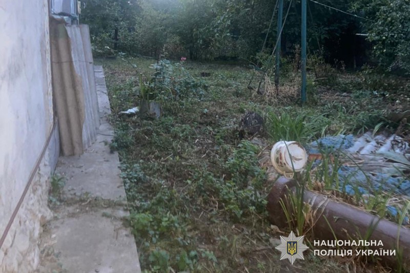 На Тернопільщині чоловік застрелив сусідського кота