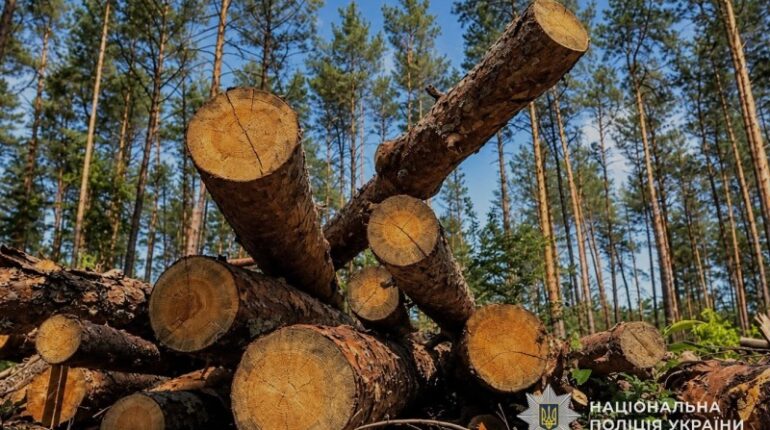 На Тернопільщині директора лісгоспу підозрюють у збитках