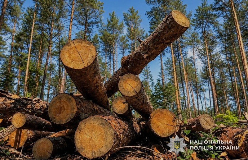 На Тернопільщині директора лісгоспу підозрюють у збитках
