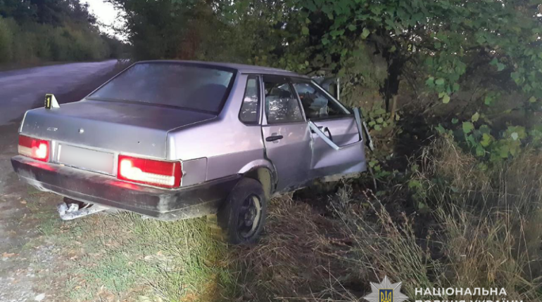 На Тернопільщині п'яний водій врізався в дерево