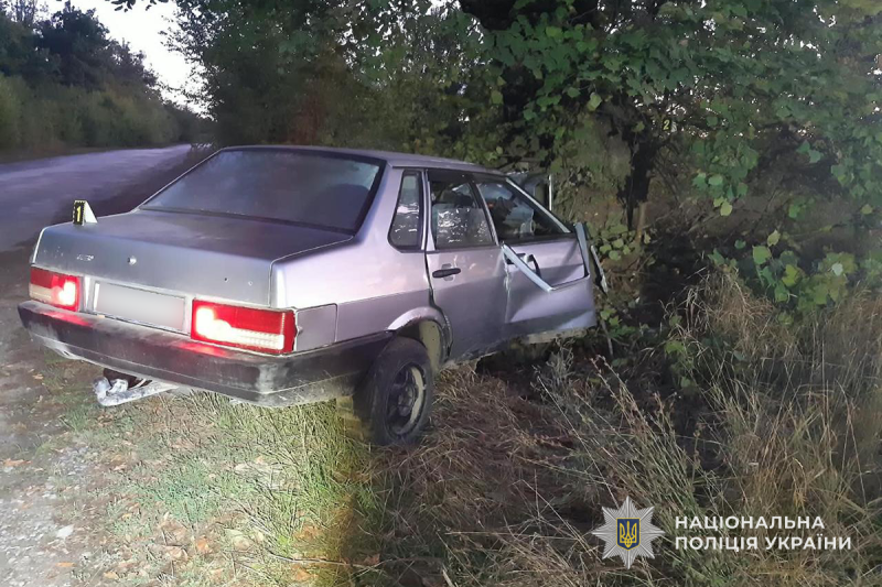 На Тернопільщині п'яний водій врізався в дерево