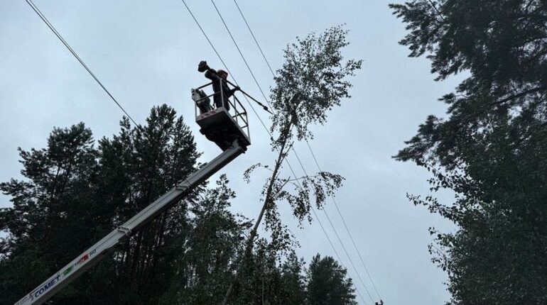 Негода на Полтавщині: знеструмлено чотири населені пункти