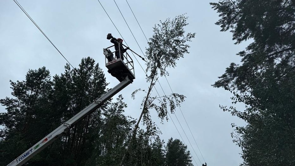 Негода на Полтавщині: знеструмлено чотири населені пункти