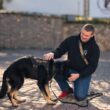 Реабілітація захисників на Тернопільщині: допомога собак