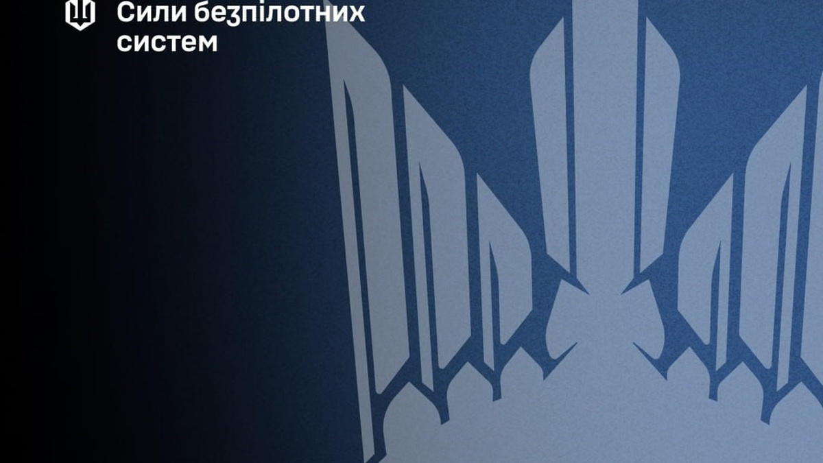 Сили безпілотних систем знищили понад 2000 цілей ворога