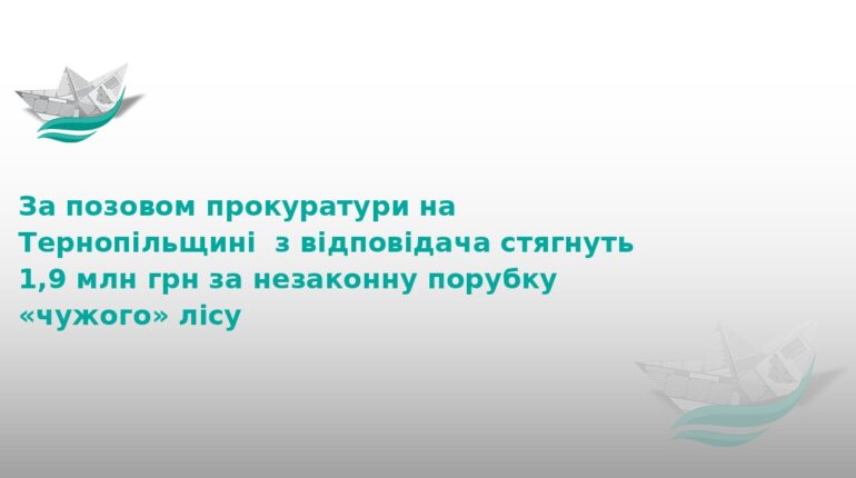 На Тернопільщині стягнуть 1,9 млн грн за незаконну порубку