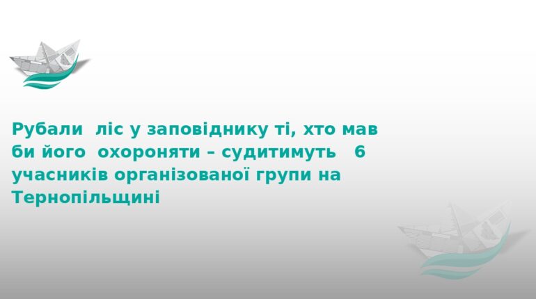На Тернопільщині судитимуть банду за вирубку «Медоборів»