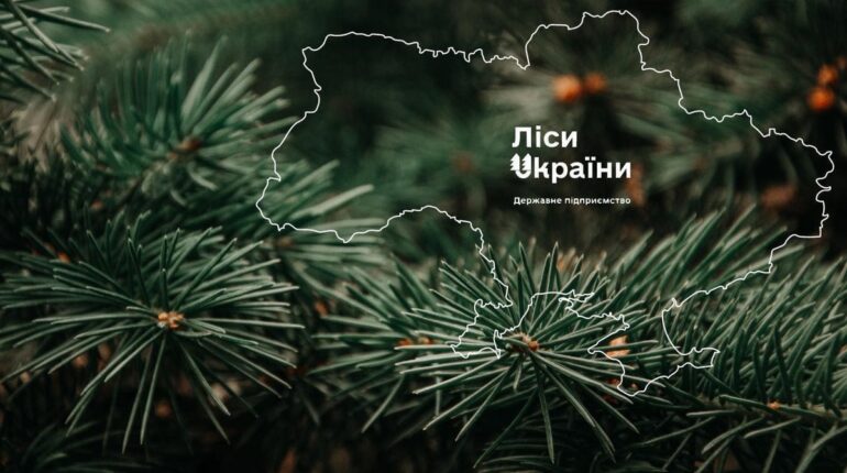 Понад 2 тисячі гектарів пралісів на Закарпатті під захистом
